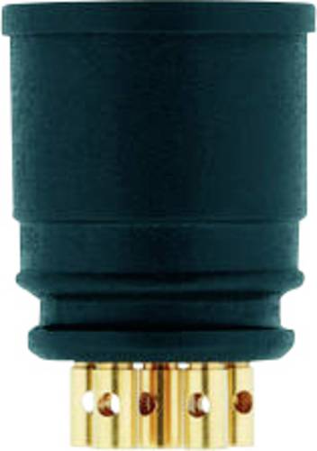 Escha 8009737 Sensor-/Aktor-Einbausteckverbinder Polzahl Sensoren: 8