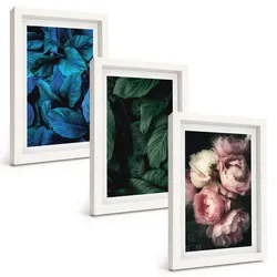BILDER SET 3er Set - 20x30 cm Weißer Rahmen - Blätter, Blüten, verschiedene Farben