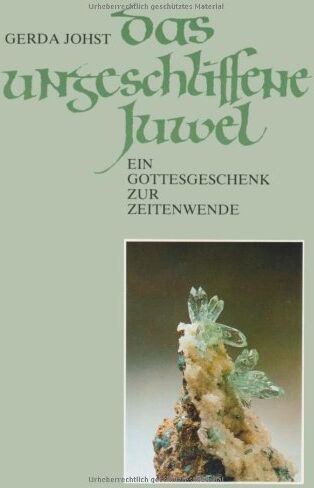 Gerda Johst - Das ungeschliffene Juwel: Ein Gottesgeschenk zur Zeitenwende - Preis vom 16.10.2026 11:41:07 h