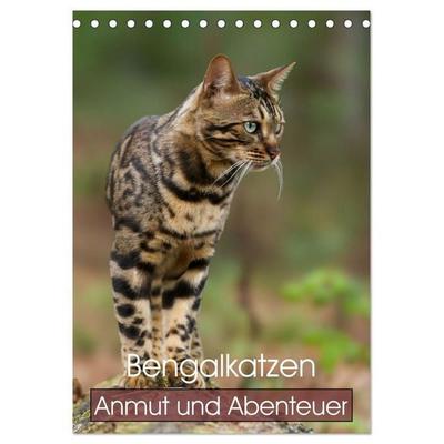 Bengalkatzen - Anmut und Abenteuer (Tischkalender 2027 DIN A5 hoch), CALVENDO Monatskalender