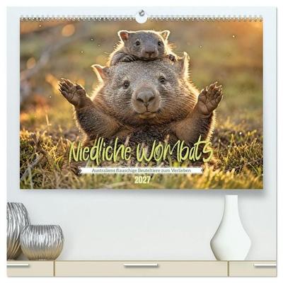 Niedliche Wombats - Australiens flauschige Beuteltiere zum Verlieben (hochwertiger Premium Wandkalender 2027 DIN A2 quer), Kunstdruck in Hochglanz