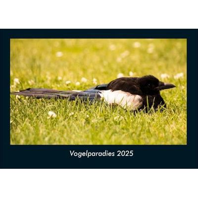 Vogelparadies 2025 Fotokalender DIN A4