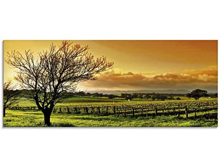 ARTland Wanddeko Glasbilder Wandbild Glas Bild einteilig 125x50 cm Querformat Natur Landschaft Weinberge Felder Baum Sonnenuntergang S6QW