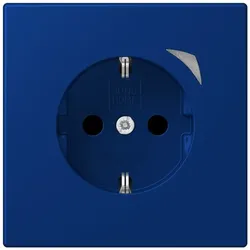 Jung SCHUKO Steckdose BT LC 1521 S 261