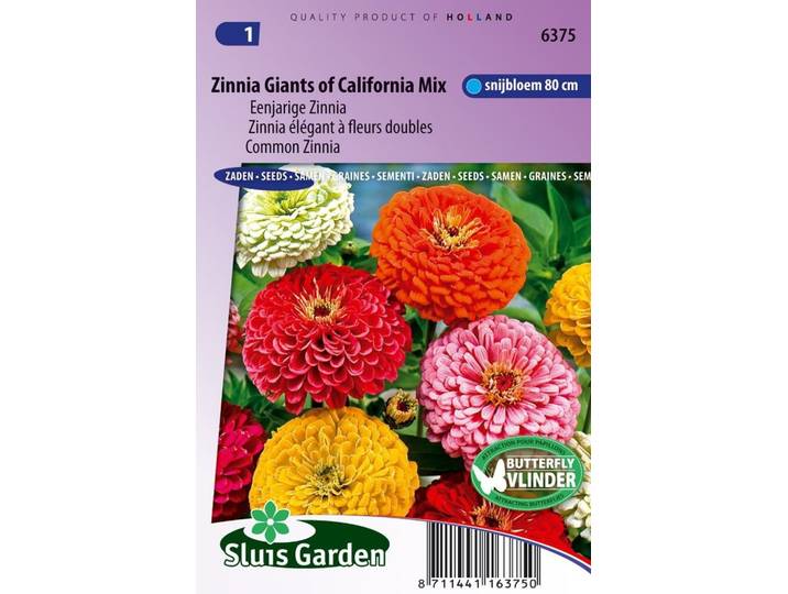 Zinnia Elegans zaden Giants of California mix