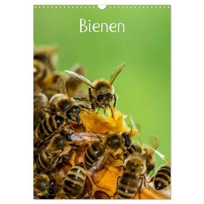 Bienen (Wandkalender 2027 DIN A3 hoch), CALVENDO Monatskalender