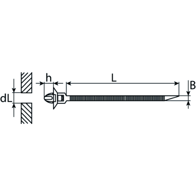 SWG Clip 50042180 für VW