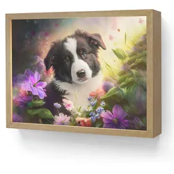 WANDLEUCHTE MIT AKKU Welpe - Sonne - Blumen - Natur - Border Collie - Hund LED 40x30 cm Wandlampe
