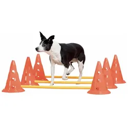 Pawise Dog Activity Set,3 Hürden,kleine Pylone,23 (Agility), Agility
