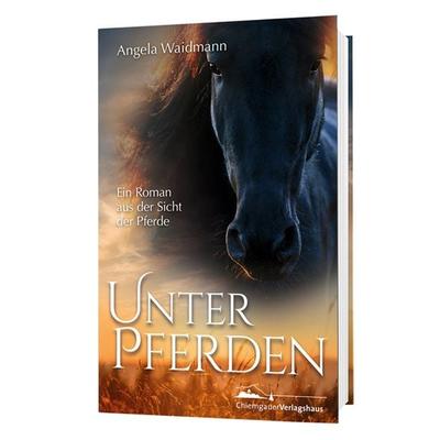 Unter Pferden, Taschenbuch von Angela Waidmann, Chiemgauer Verlagshaus