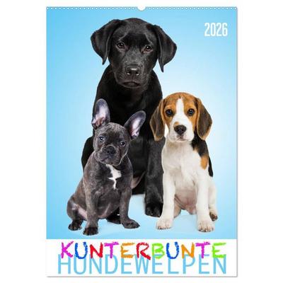 Kunterbunte Hundewelpen (Wandkalender 2026 DIN A2 hoch), CALVENDO Monatskalender