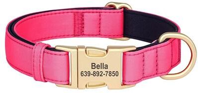 Uplifted Finds Pro Tech Personalized Waterproof Dog Collar pink s