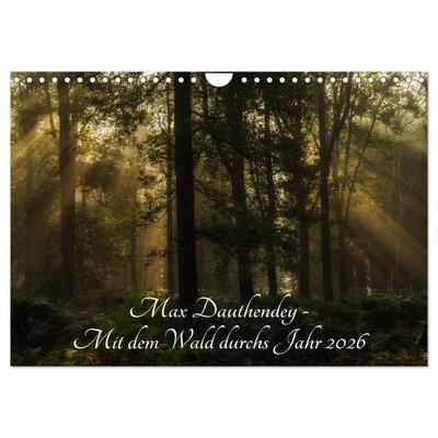 Max Dauthendey - Mit dem Wald durchs Jahr (Wandkalender 2026 DIN A4 quer), CALVENDO Monatskalender