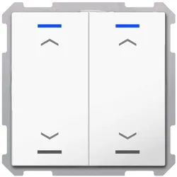 MDT technologies Taster Light 63 2-fach BE-TAL6302.A1