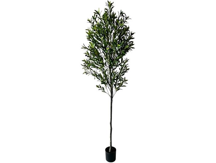 Kunstbaum OLIVERA