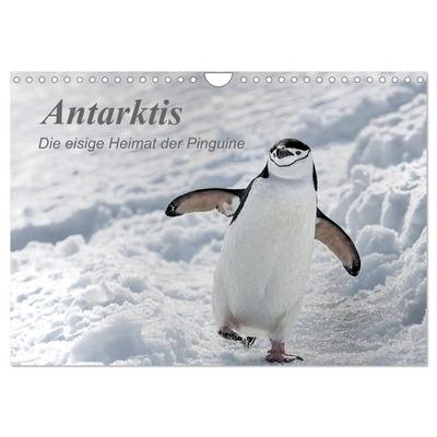 Antarktis, die eisige Heimat der Pinguine (Wandkalender 2026 DIN A4 quer), CALVENDO Monatskalender