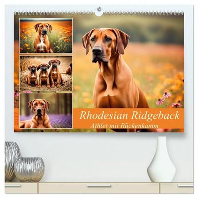 Rhodesian Ridgeback - Athlet mit Rückenkamm (hochwertiger Premium Wandkalender 2027 DIN A2 quer), Kunstdruck in Hochglanz