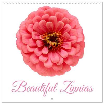 Beautiful Zinnias (Wall Calendar 2027 12 × 12 Inch) CALVENDO 12 Month Wall Calendar