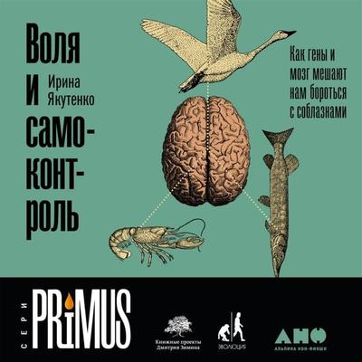 Volya i samokontrol': Kak geny i mozg meshayut nam borot'sya s soblaznami - Irina Yakutenko, Audio, 9785961452143