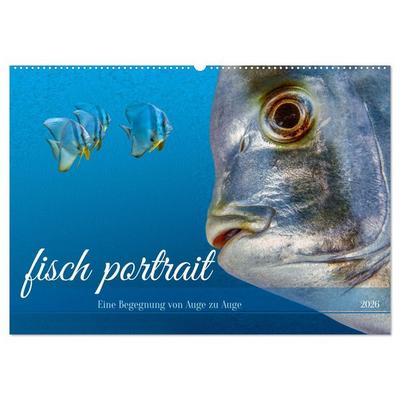 fisch portrait (Wandkalender 2026 DIN A2 quer), CALVENDO Monatskalender