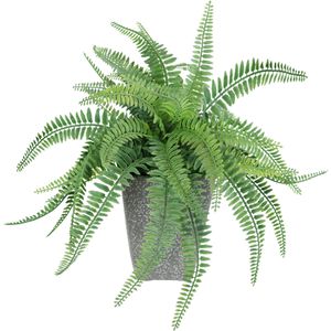 I.GE.A. Kunstpflanze Waldfarn, im Topf, Höhe 40 cm