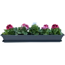 BURI Blumenkasten Balkonkasten Pflanzkasten Anthrazit 80 oder 100cm mit Einleger Anthrazit