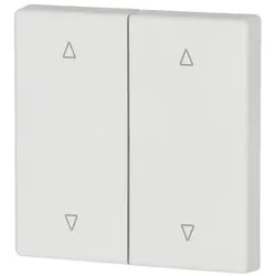 Eaton Wippe 2-fach CWIZ-02/55