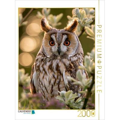 CALVENDO Puzzle Der Wächter des Waldes | 2000 Teile Lege-Größe 90 × 67 cm Foto-Puzzle für glückliche Stunden, von , Calvendo Puzzle