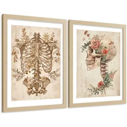 POSTER Set aus 2 Anatomie Mensch Drucke und Wandbilder mit Skelett Schädel Wirbelsäule Rippen Becken Klassischer Stil Größe Rahmenlos A3