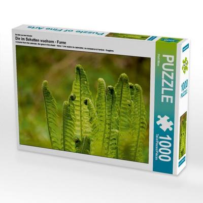 CALVENDO Puzzle Ein Motiv aus dem Kalender Die im Schatten wachsen - Farne | 1000 Teile Lege-Größe 64 × 48 cm Foto-Puzzle für glückliche Stunden