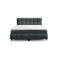 BOXBETT Sophie In Rolf