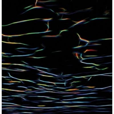Biokinetics - Porter Ricks, CD