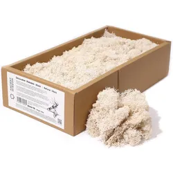Quality Decoration Reindeer Moss - Natural Vibes - 635g Box