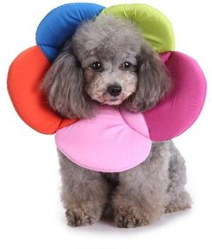 Inspired Deals Soft Flower Dog Recovery Collar For Pets Comfortable Pet Protection Collar After Surgery S rainbow