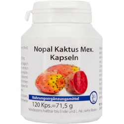 NOPAL Kaktus mex.Kapseln 120 St Kapseln