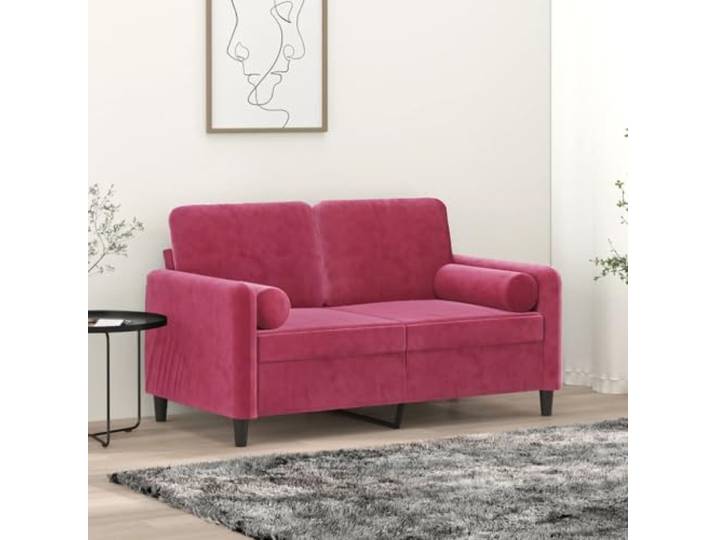 pokgdf 2-Sitzer Samtsofa Weinrot 120 cm mit Zierkissen Metallgestell Stabil, Abnehmbare Bezüge, Belastbar Bis 110 kg Pro Sitz, Modernes Design