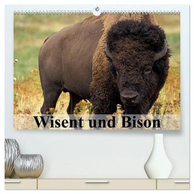 Wisent und Bison (hochwertiger Premium Wandkalender 2027 DIN A2 quer), Kunstdruck in Hochglanz