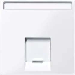 Merten Zentralplatte 1-fach aktivws gl MEG4573-0325