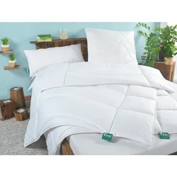 f.a.n. Frankenstolz Bettdecke Klima Activ Plus Duo-Steppbett 135x200 cm