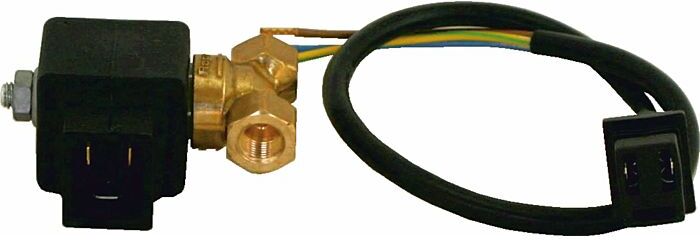 Wolf Magnetventil 10884 Eckerle Pumpe 8902406 für NU, HU, CNU, CHU, FNU, FHU
