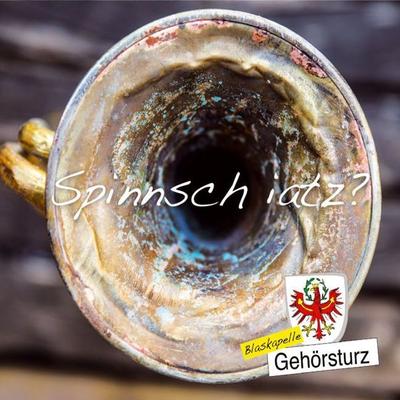Spinnsch iatz? - Blaskapelle Gehörsturz, CD, 9003549530916
