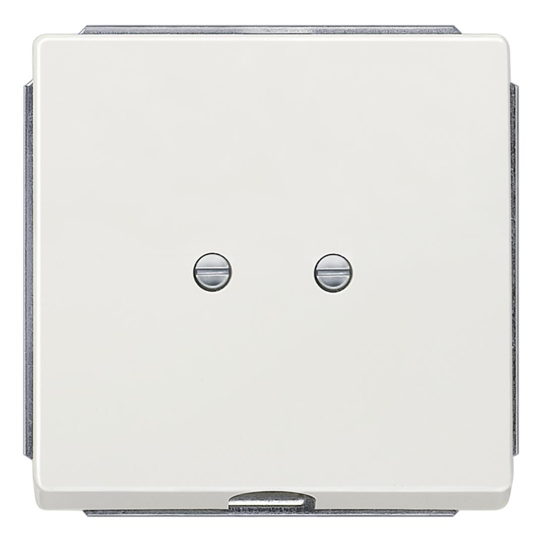 Siemens 5TG1335 Wandplatte/Schalterabdeckung (5TG1335)
