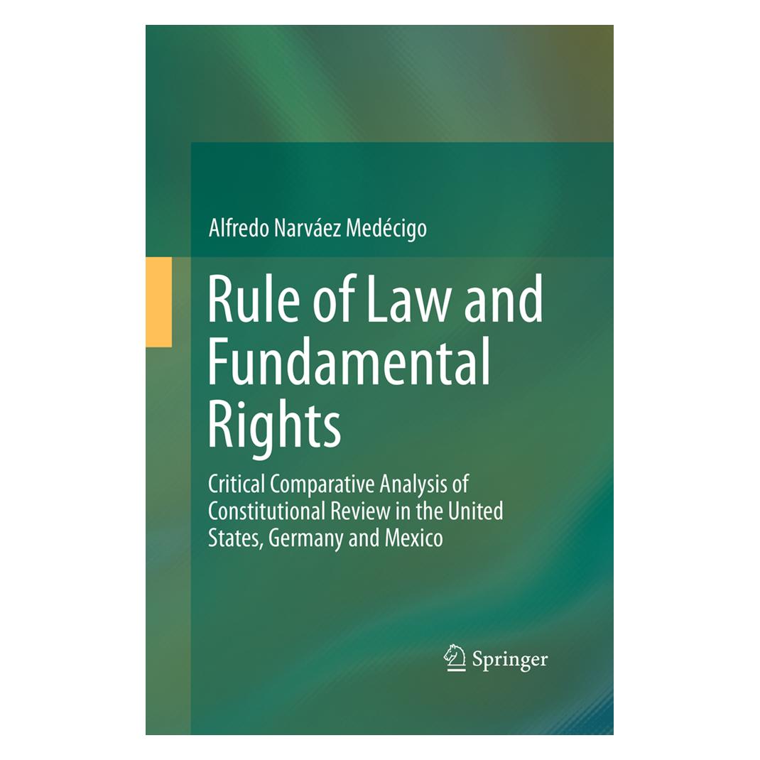 Springer Rule of Law and Fundamental Rights (Englisch, Softcover, Alfredo Narváez Medécigo) (55950657)