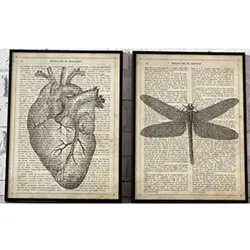 POSTER Set Mit 2 Obst & Gemüse Illustration A4 Rahmenlos