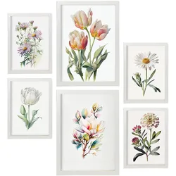 POSTER Set Mit 6 Pastellblumen Vollfarbige Natur Und Botanikdrucke Mit Blumenmotiven Auf Reinweißen Hintergründen A3 & A4 Weißer Rahmen