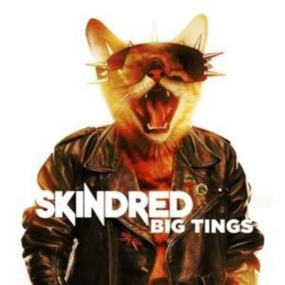 Big Tings - Skindred, CD
