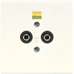 Jung Potential-Ausgl.Steckdose LS 965-2