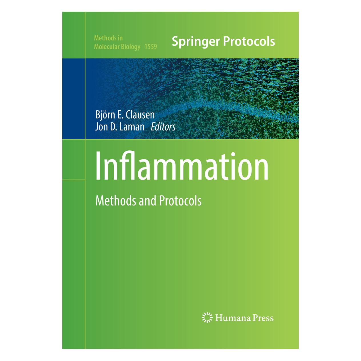 Springer Inflammation (Englisch, Softcover, Björn E. Clausen, Jon D. Laman) (56004742)