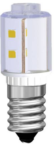 Signal Construct MBRE140804A LED-Lampe Rot E14 24V DC/AC