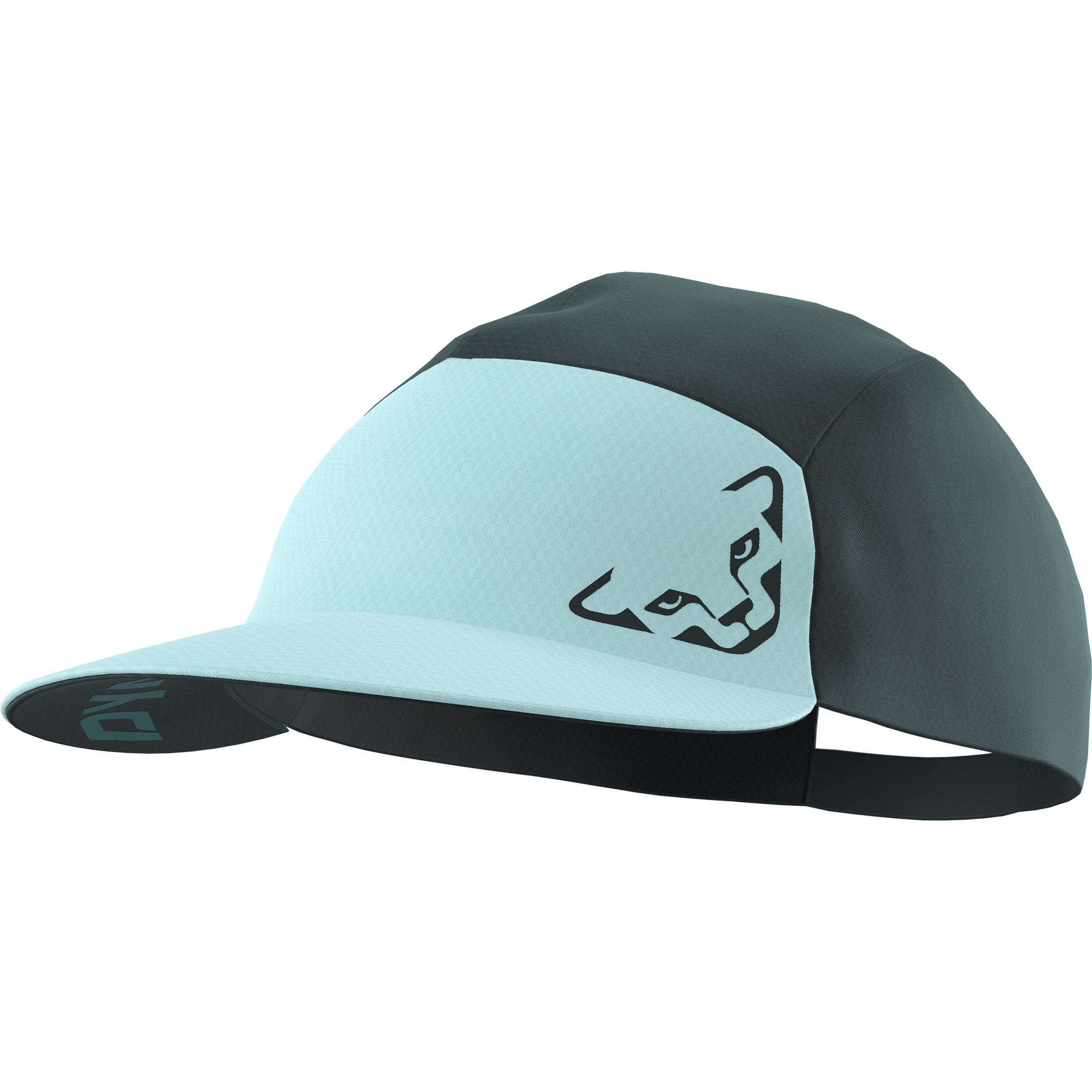 Dynafit Alpine Visor Cap Basecaps tuerkis Camping Atmungsaktiv